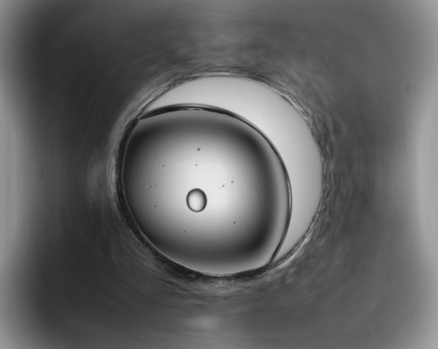X0000092240293200709141129