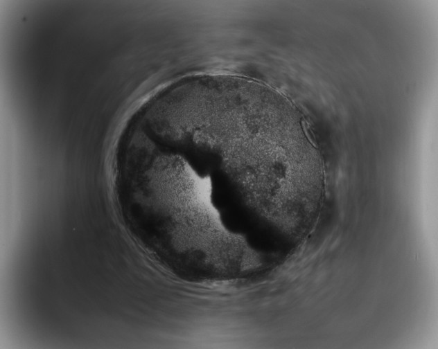 X0000092240295200709141128