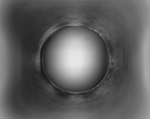X0000092240296200709141128