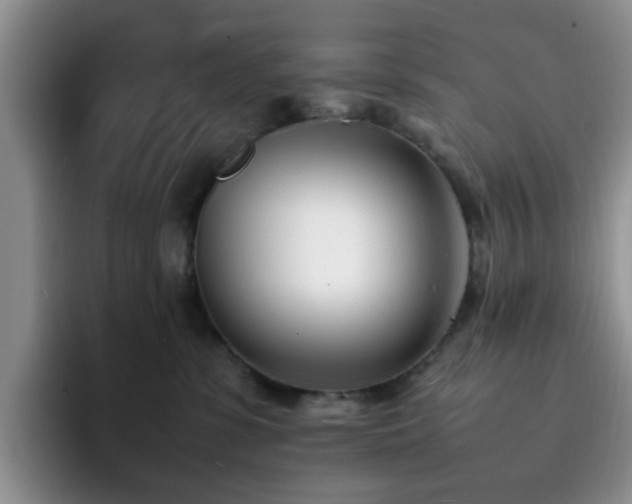 X0000092240331200709141128