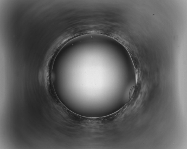 X0000092240339200709141127