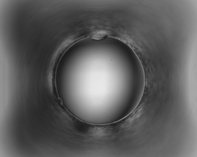 X0000092240341200709141127