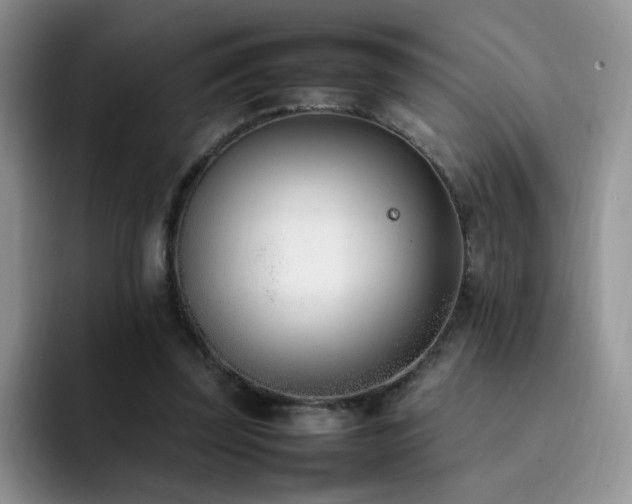 X0000092240347200709141127