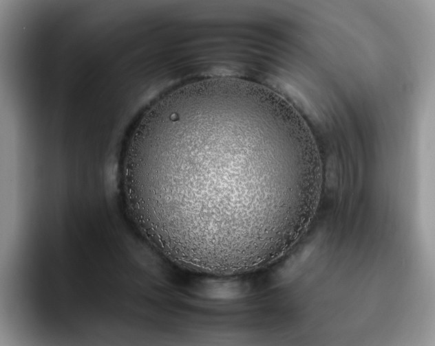 X0000092240351200709141127