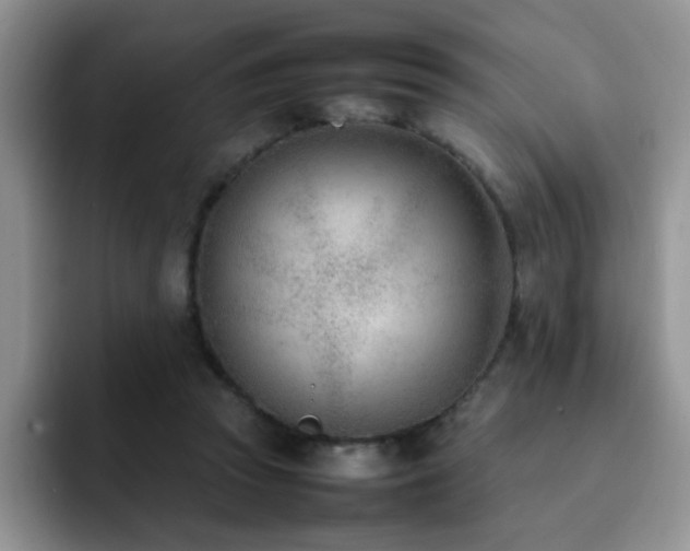 X0000092240353200709141127