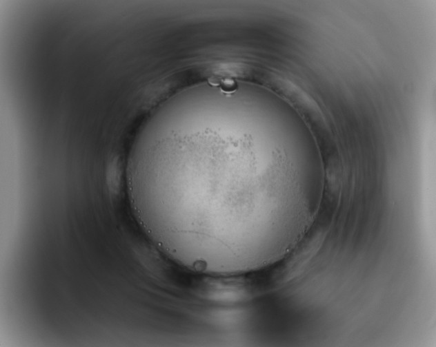 X0000092240359200709141128