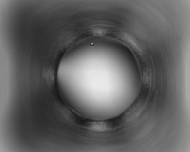 X0000092240363200709141128