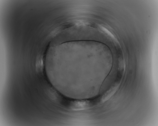 X0000092240405200709141127