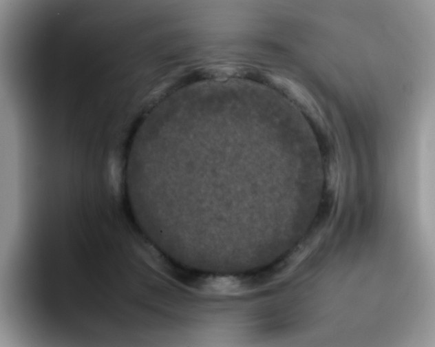 X0000092240409200709141127