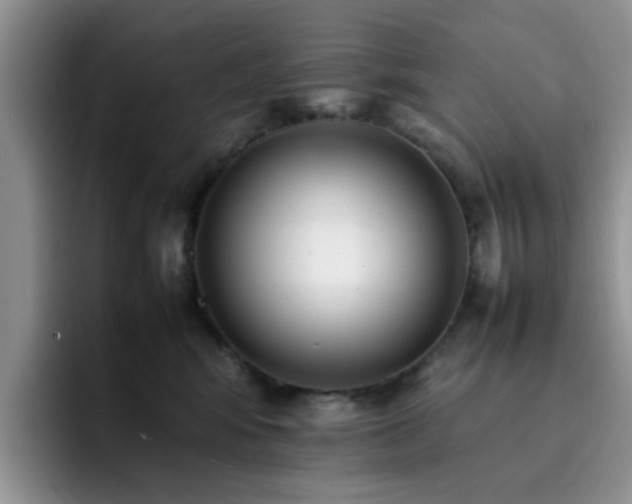 X0000092240424200709141127
