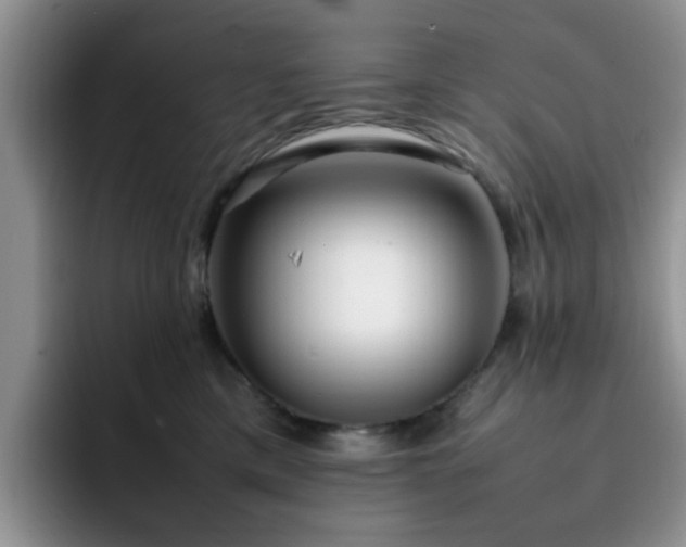X0000092240425200709141127