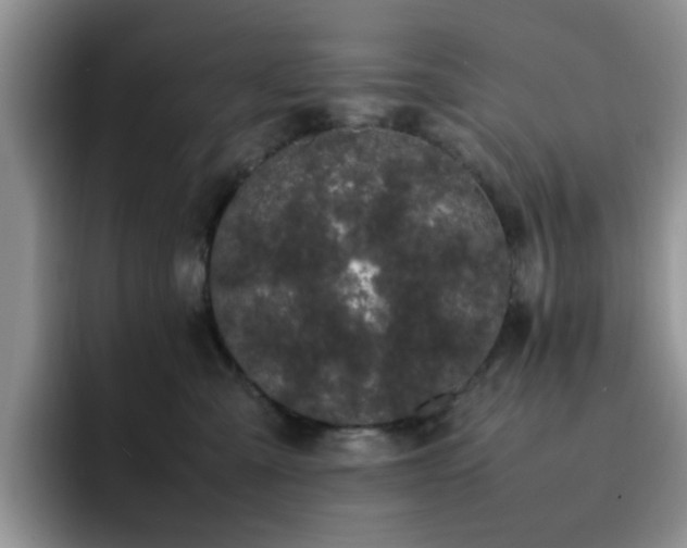 X0000092240427200709141127