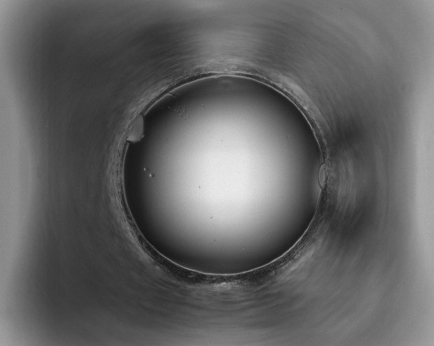 X0000092240433200709141126
