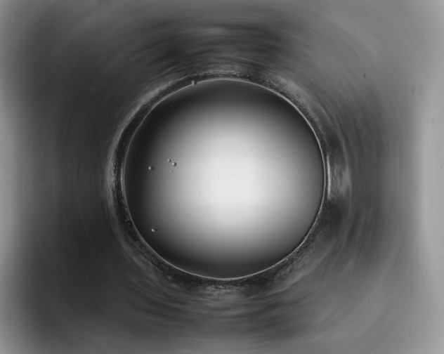 X0000092240435200709141126