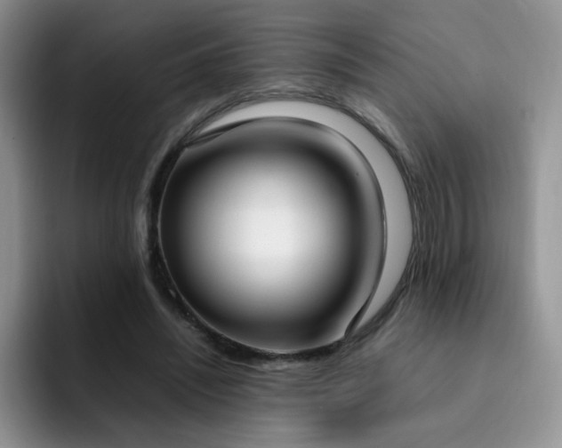 X0000092240444200709141126