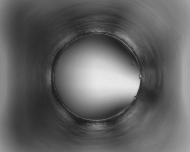 X0000092240445200709141126