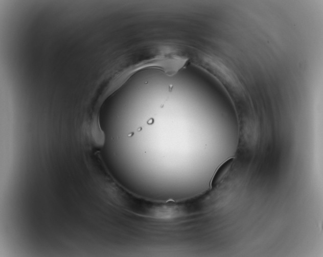 X0000092240461200709141126