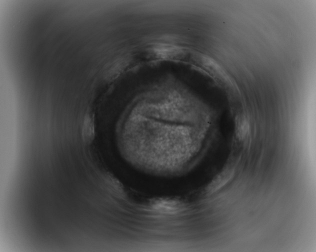 X0000092240471200709141127