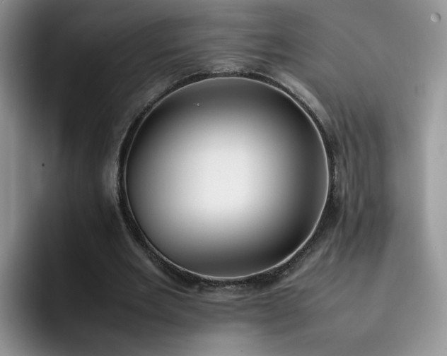 X0000092240485200709141126