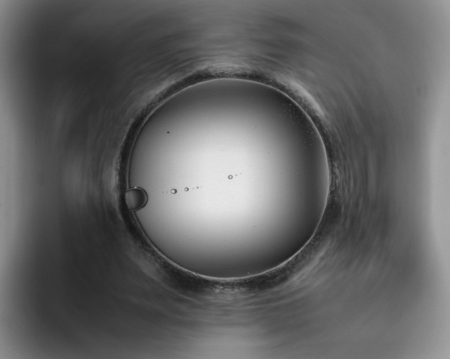 X0000092240487200709141126