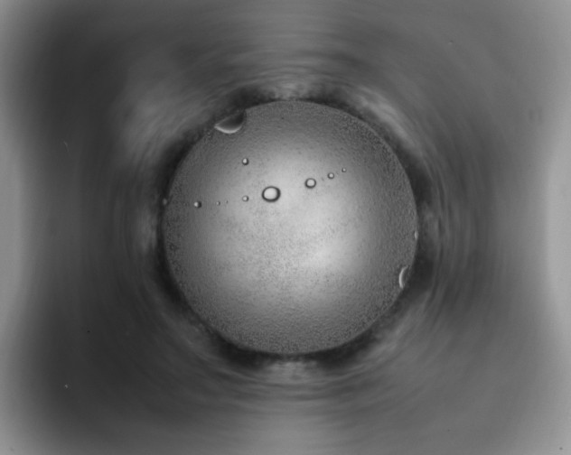 X0000092240499200709141126
