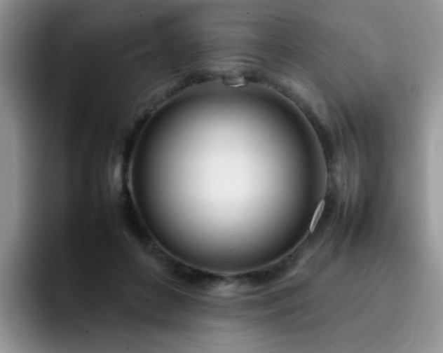 X0000092240504200709141126