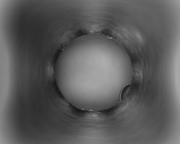 X0000092240523200709141126