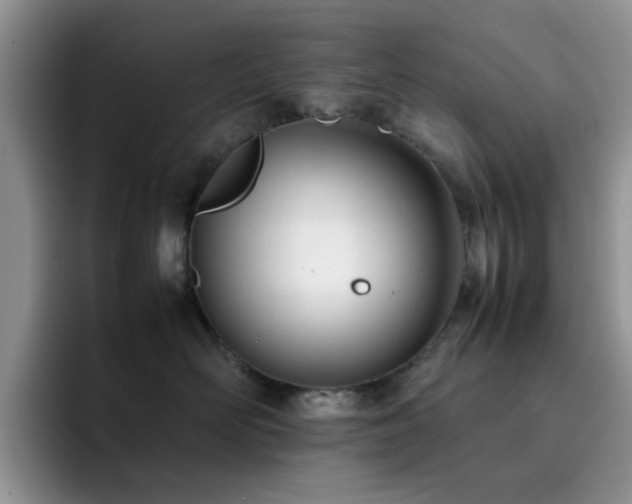 X0000092240526200709141126