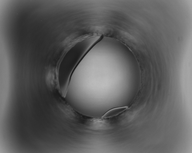 X0000092240528200709141126
