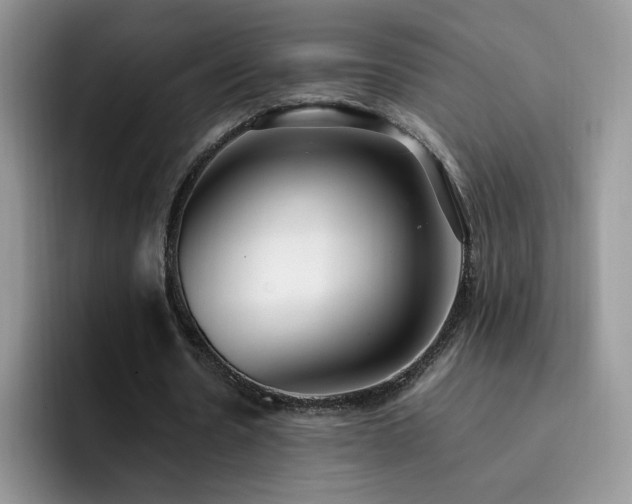 X0000092240530200709141125