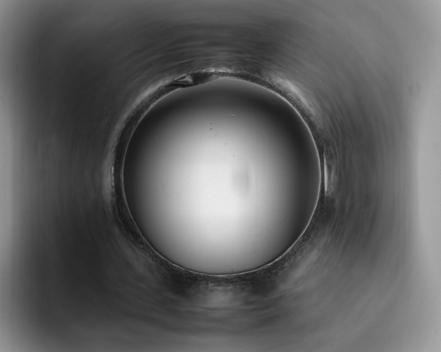 X0000092240531200709141125
