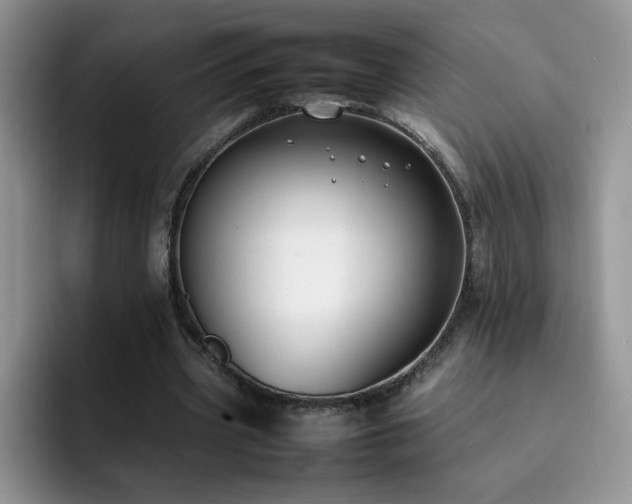 X0000092240533200709141125
