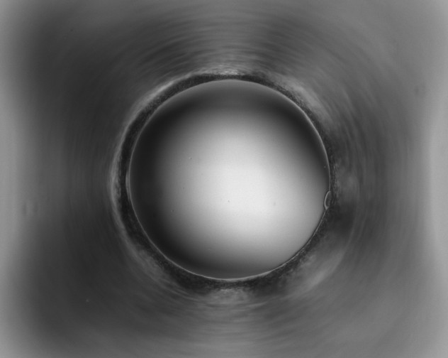 X0000092240536200709141125