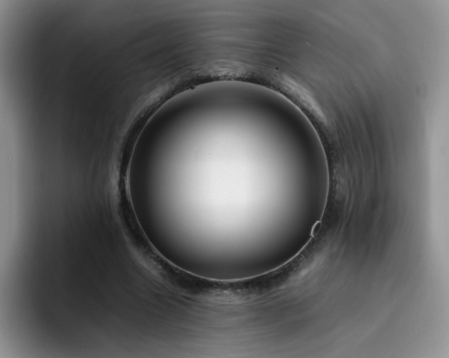X0000092240538200709141125