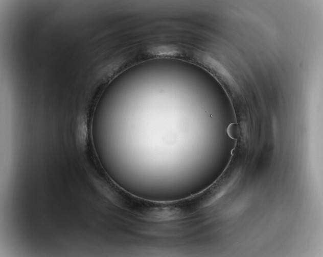 X0000092240541200709141125