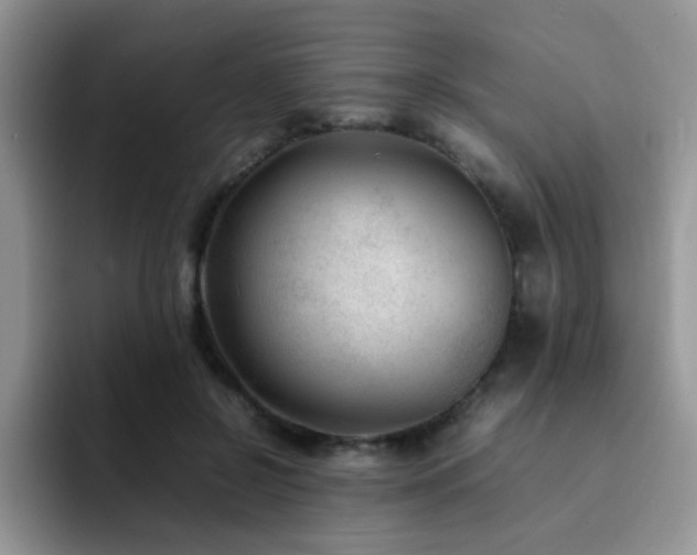 X0000092240550200709141125