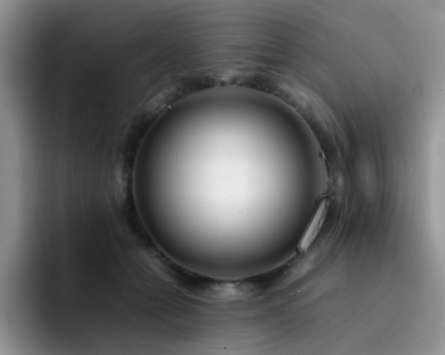 X0000092240558200709141125