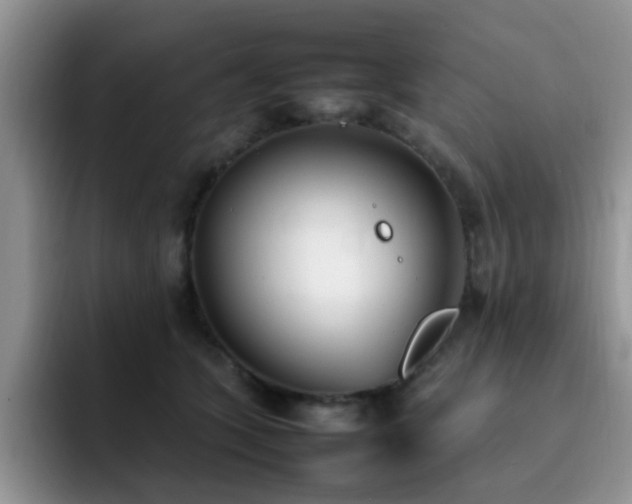 X0000092240563200709141125