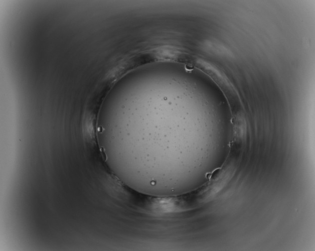 X0000092240573200709141126