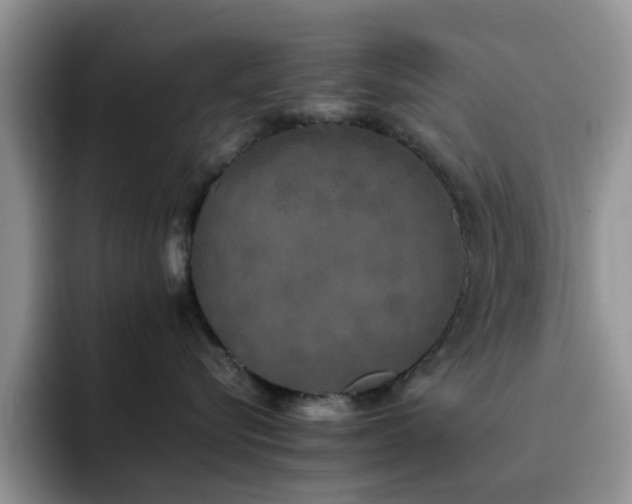 X0000092240576200709141126