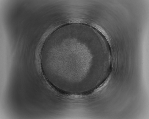 X0000092240577200709141125