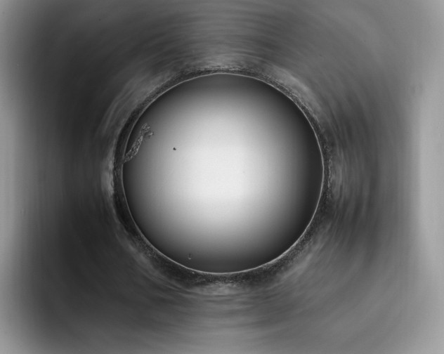 X0000092240578200709141125