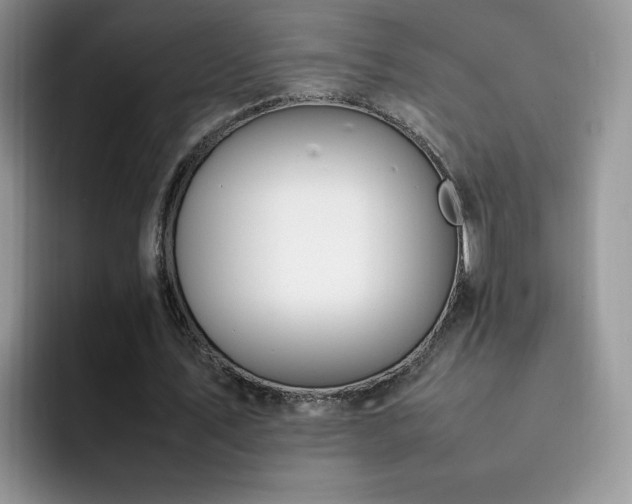 X0000092240579200709141125
