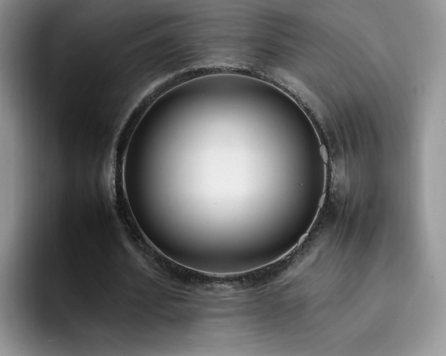 X0000092240580200709141125