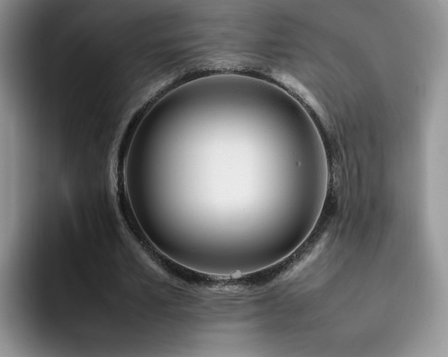 X0000092240581200709141125
