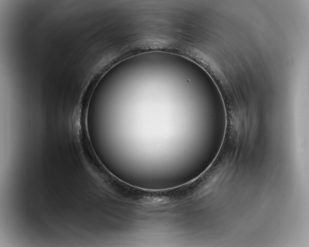 X0000092240582200709141125