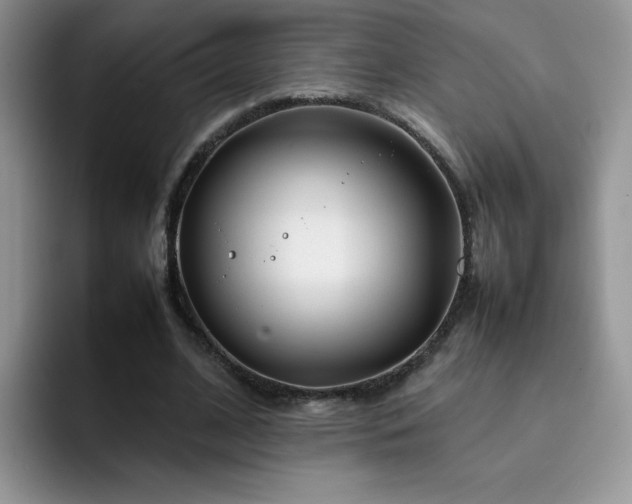 X0000092240584200709141125