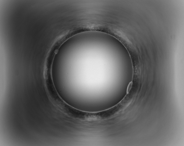 X0000092240587200709141125