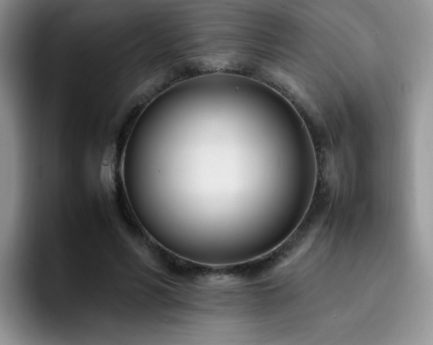 X0000092240590200709141125