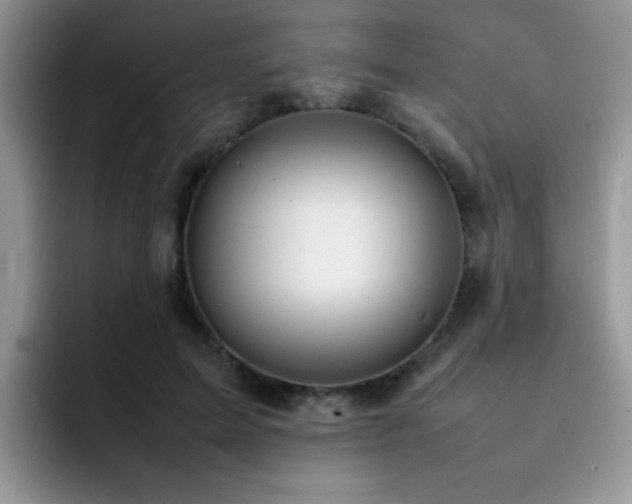 X0000092240599200709141125